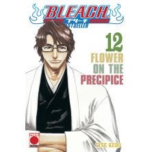 Bleach Bestseller 12